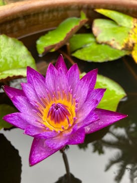 ビオスの丘に投稿された画像（2022/5/2）