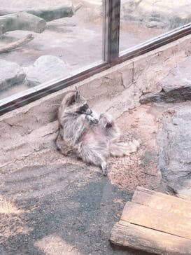 長崎バイオパークに投稿された画像（2022/5/2）