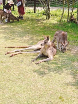 長崎バイオパークに投稿された画像（2022/5/2）