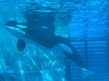 名古屋港水族館に投稿された画像（2022/5/2）