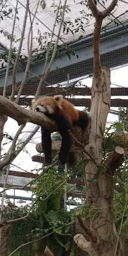 神戸どうぶつ王国に投稿された画像（2022/5/2）