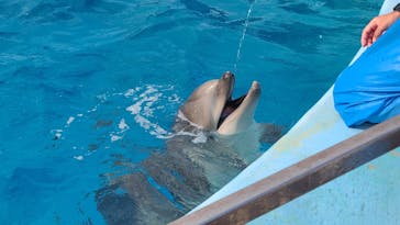 名古屋港水族館に投稿された画像（2022/5/2）