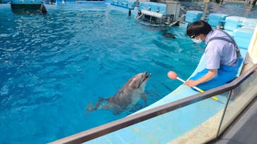 名古屋港水族館に投稿された画像（2022/5/2）