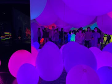 森ビル デジタルアート ミュージアム：エプソン チームラボボーダレスに投稿された画像（2022/5/2）