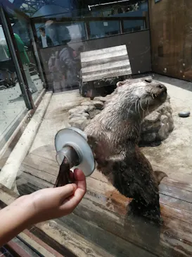 横浜・八景島シーパラダイスに投稿された画像（2022/5/2）