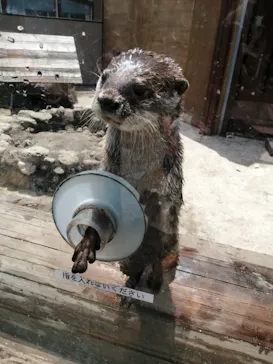 横浜・八景島シーパラダイスに投稿された画像（2022/5/2）