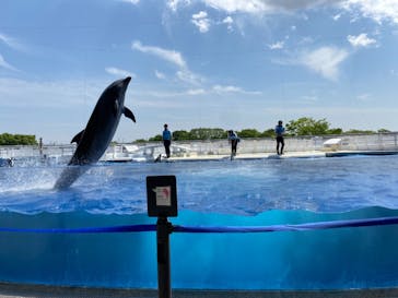 京都水族館に投稿された画像（2022/5/2）