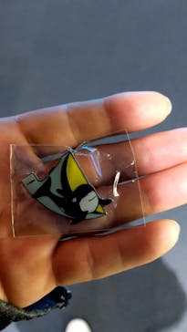 名古屋港水族館に投稿された画像（2022/5/2）