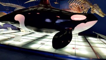 名古屋港水族館に投稿された画像（2022/5/2）