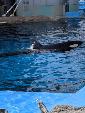 名古屋港水族館に投稿された画像（2022/5/2）