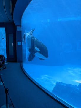 名古屋港水族館に投稿された画像（2022/5/2）