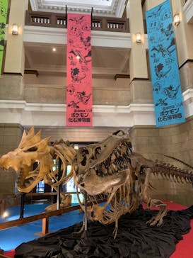 国立科学博物館　特別企画展「ポケモン化石博物館」に投稿された画像（2022/5/2）