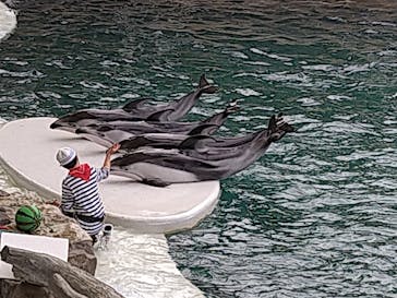 城崎マリンワールドに投稿された画像（2022/5/2）