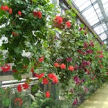 神戸どうぶつ王国に投稿された画像（2022/5/2）