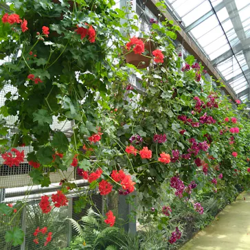 神戸どうぶつ王国に投稿された画像（2022/5/2）