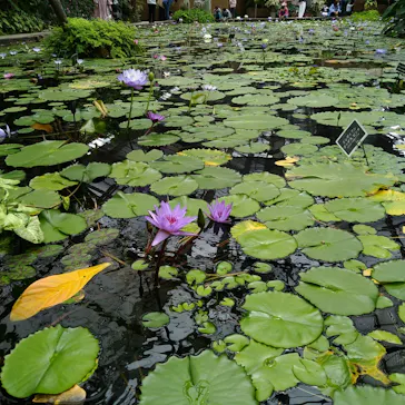 神戸どうぶつ王国に投稿された画像（2022/5/2）