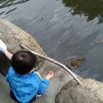 神戸どうぶつ王国に投稿された画像（2022/5/2）