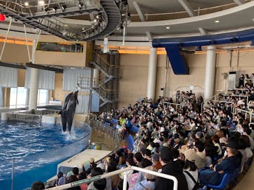 アクアワールド茨城県大洗水族館に投稿された画像（2022/5/2）
