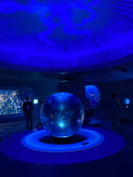 新江ノ島水族館に投稿された画像（2022/5/2）