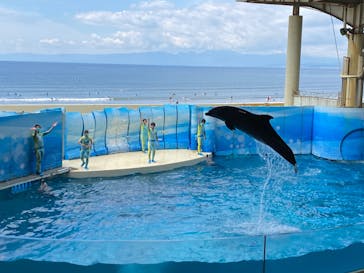 新江ノ島水族館に投稿された画像（2022/5/2）