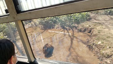 サホロリゾート　ベア･マウンテンに投稿された画像（2022/5/2）