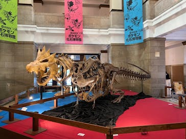 国立科学博物館　特別企画展「ポケモン化石博物館」に投稿された画像（2022/5/2）