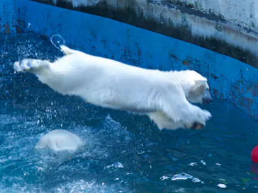 天王寺動物園に投稿された画像（2022/5/2）