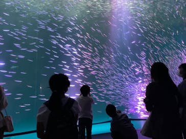 名古屋港水族館に投稿された画像（2022/5/2）