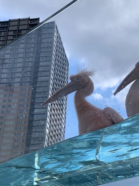 サンシャイン水族館に投稿された画像（2022/5/2）