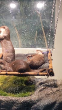 サンシャイン水族館に投稿された画像（2022/5/2）