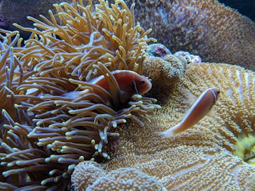 サンシャイン水族館に投稿された画像（2022/5/2）