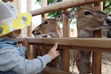 東武動物公園に投稿された画像（2022/5/2）