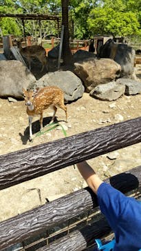 群馬サファリパークに投稿された画像（2022/5/2）