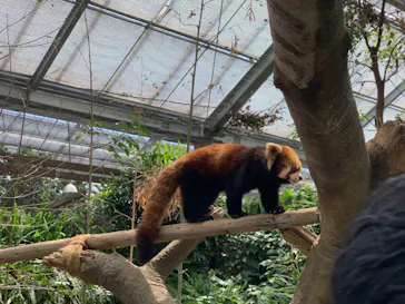 神戸どうぶつ王国に投稿された画像（2022/5/2）