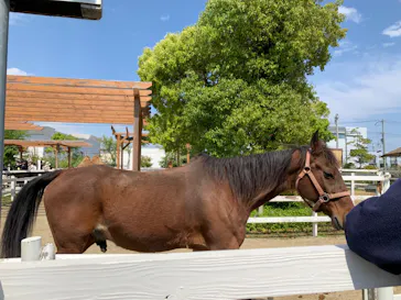 神戸どうぶつ王国に投稿された画像（2022/5/2）