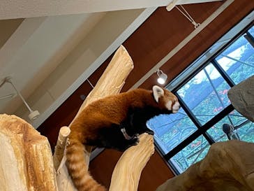 ネオパークオキナワに投稿された画像（2022/5/2）