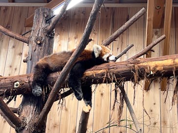 伊豆シャボテン動物公園に投稿された画像（2022/5/2）