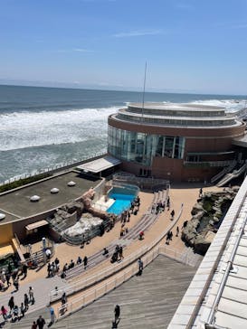 アクアワールド茨城県大洗水族館に投稿された画像（2022/5/2）