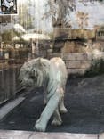 東武動物公園に投稿された画像（2022/5/2）