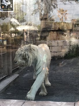 東武動物公園に投稿された画像（2022/5/2）