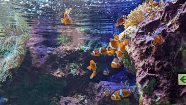 サンシャイン水族館に投稿された画像（2022/5/2）