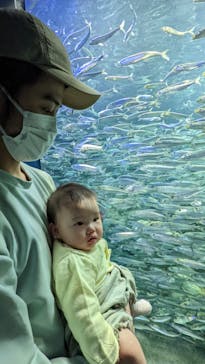 サンシャイン水族館に投稿された画像（2022/5/2）