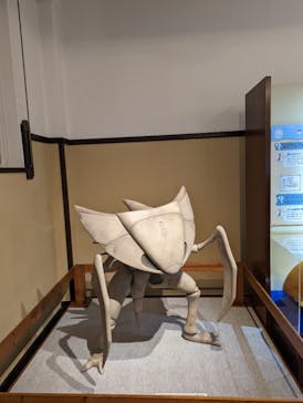 国立科学博物館　特別企画展「ポケモン化石博物館」に投稿された画像（2022/5/2）