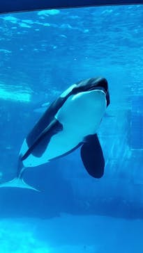 名古屋港水族館に投稿された画像（2022/5/2）