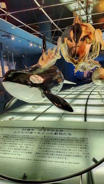 名古屋港水族館に投稿された画像（2022/5/2）