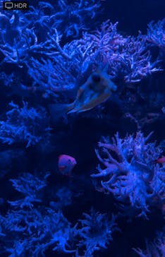 名古屋港水族館に投稿された画像（2022/5/2）