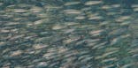 環境水族館アクアマリンふくしまに投稿された画像（2022/5/2）