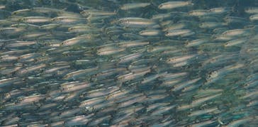 環境水族館アクアマリンふくしまに投稿された画像（2022/5/2）