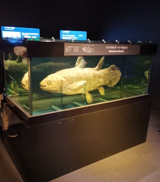 環境水族館アクアマリンふくしまに投稿された画像（2022/5/2）