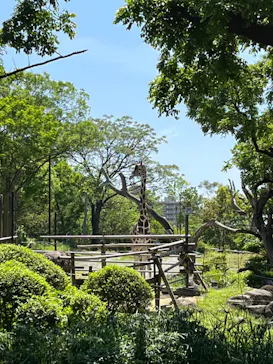 天王寺動物園に投稿された画像（2022/5/2）